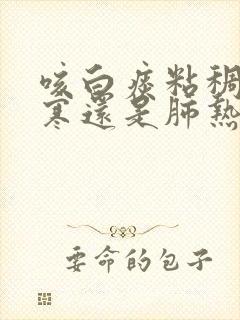 咳白痰粘稠是肺寒还是肺热封面