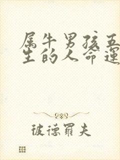 属牛男孩五月出生的人命运