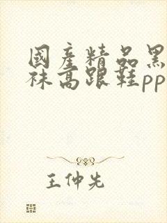 国产精品黑色丝袜高跟鞋pp