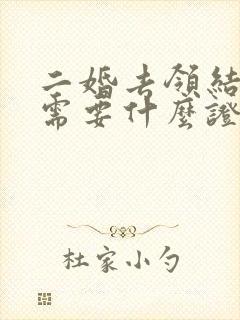 二婚去领结婚证需要什么证件