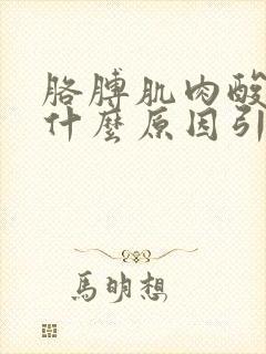 胳膊肌肉酸痛是什么原因引起的