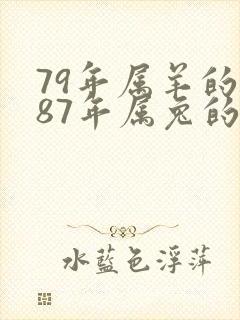 79年属羊的和87年属兔的婚配怎样封面