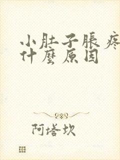 小肚子胀疼女是什么原因