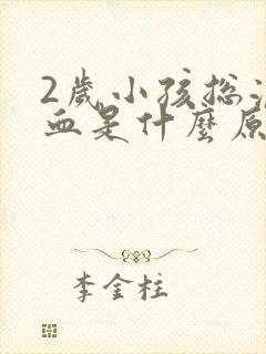 2岁小孩总流鼻血是什么原因