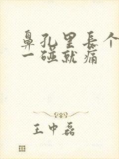 鼻孔里长个疙瘩一碰就痛