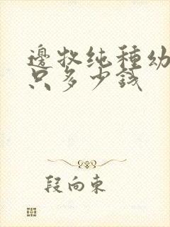 边牧纯种幼犬一只多少钱