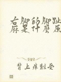 右脚的脚趾头发麻是什么原因