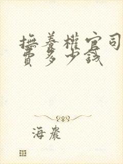 抚养权官司诉讼费多少钱