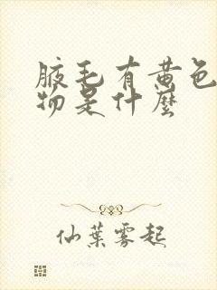 腋毛有黄色附着物是什么