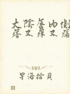 大阴唇内侧长疙瘩又痒又痛封面