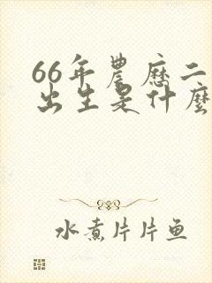 66年农历二月出生是什么命