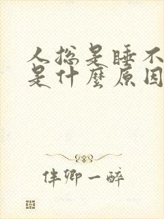 人总是睡不着觉是什么原因引起的