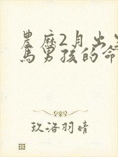 农历2月出生的马男孩的命运