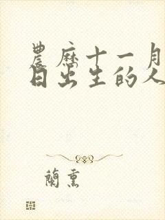 农历十一月十一日出生的人命运