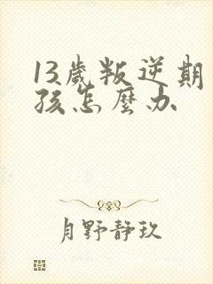 13岁叛逆期男孩怎么办