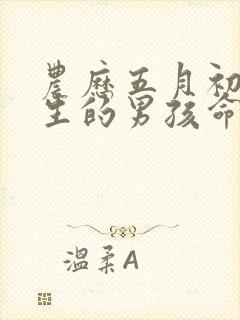 农历五月初一出生的男孩命运