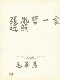 张胤哲一家三口近照封面