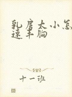 乳房太小怎样快速丰胸