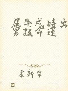 属牛戌时出生的男孩命运