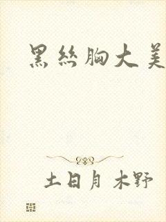 黑丝胸大美女封面