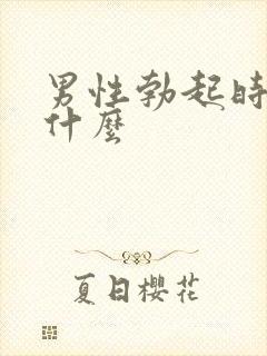 男性勃起时是为什么