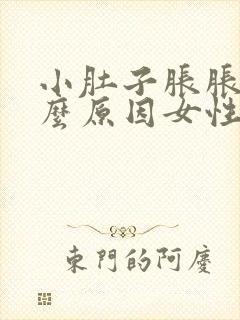 小肚子胀胀是什么原因女性