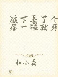 腋下长了个硬疙瘩一碰就疼