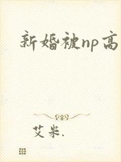 新婚被np高h