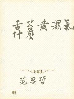 舌苔黄湿气重吃什么