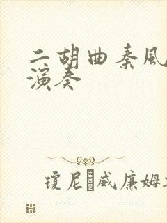 二胡曲秦风宋飞演奏