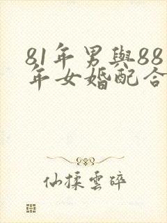 81年男与88年女婚配合适吗