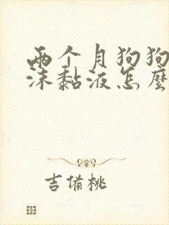 两个月狗狗吐白沫黏液怎么办