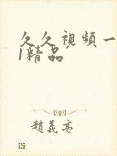 久久视频一区91精品