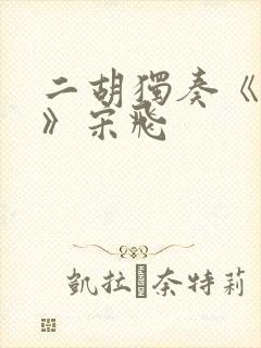 二胡独奏《母亲》宋飞