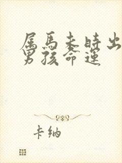 属马未时出生的男孩命运