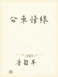 公车情缘