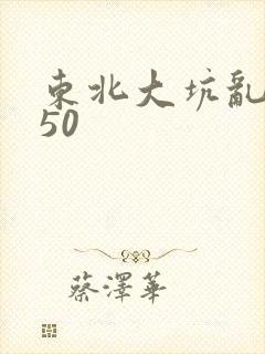 东北大坑乱1—50