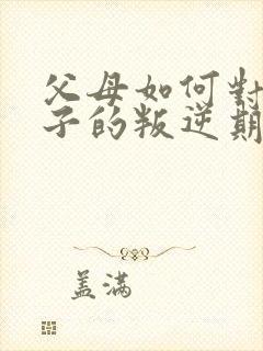 父母如何对待孩子的叛逆期封面