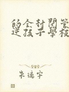 的全封闭管教叛逆孩子学校封面