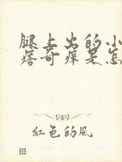 腿上出的小红疙瘩奇痒是怎么回事