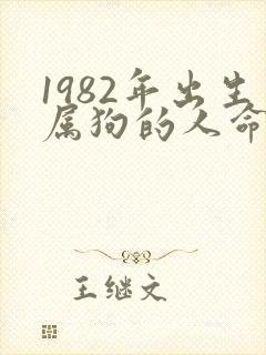 1982年出生属狗的人命运详解