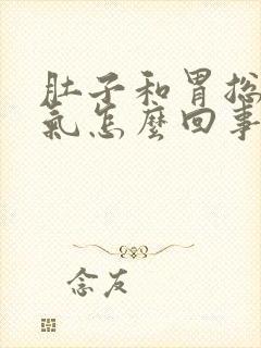 肚子和胃总是胀气怎么回事封面