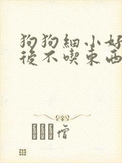 狗狗细小好了以后不吃东西怎么办