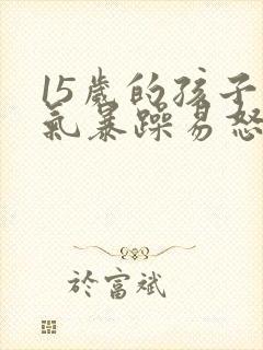 15岁的孩子脾气暴躁易怒封面