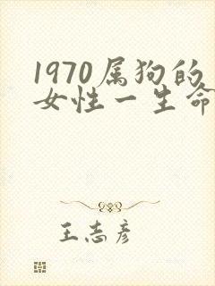 1970属狗的女性一生命运如何