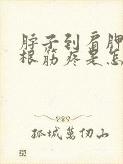 脖子到肩胛骨一根筋疼是怎么回事