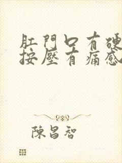 肛门口有硬疙瘩按压有痛感封面