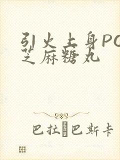 引火上身POP芝麻糖丸