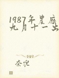 1987年农历九月十一出生的命运封面