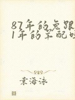 87年的兔跟91年的羊配吗